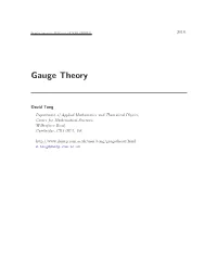Gauge Theory