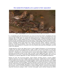 Worcestershire Redpolls and a Guide to Their Separation