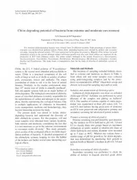 Chitin Degrading Potential of Bacteria from Extreme and Moderate Environment