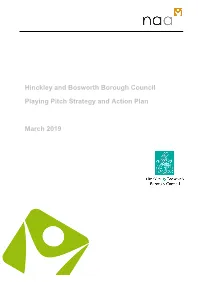 Playing Pitch Strategy Action Plan