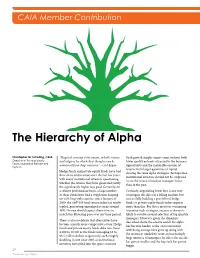 The Hierarchy of Alpha