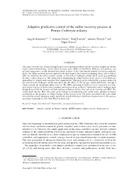 Adaptive Predictive Control of the Sulfur Recovery Process at Pemex Cadereyta Reﬁnery