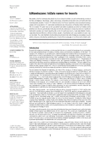 Izinambuzane: Isizulu Names for Insects Page 1 of 13