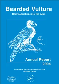 Bearded Vulture Reintroduction Into the Alps