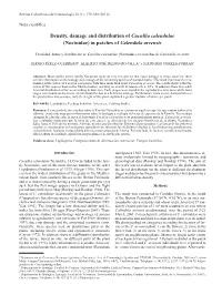 Density, Damage and Distribution of Cucullia Calendulae (Noctuidae) in Patches of Calendula Arvensis