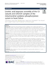 Linoleic Acid Improves Assembly of the CII Subunit and CIII2/CIV