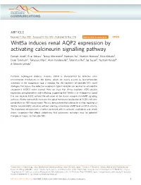 Wnt5a Induces Renal AQP2 Expression by Activating Calcineurin Signalling Pathway