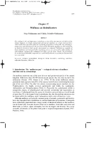 3571 MARKERT2/All for PDF 16/10/02 8:51 Am Page 577
