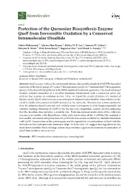 Protection of the Queuosine Biosynthesis Enzyme Quef from Irreversible Oxidation by a Conserved Intramolecular Disulﬁde