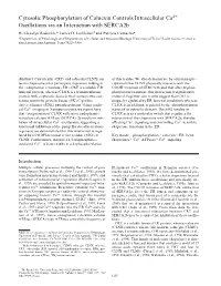 Cytosolic Phosphorylation of Calnexin Controls Intracellular Ca2ϩ Oscillations Via an Interaction with Serca2b H