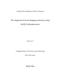 Development of Novel Imaging System by Using Firefly Bioluminescence