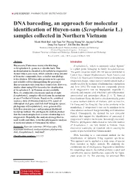 DNA Barcoding, an Approach for Molecular Identification of Huyen-Sam