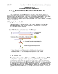Promoters and Terminators BMB 400, Part Three Gene Expression And