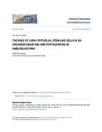 The Role of Lgr5+ Epithelial Stem-Like Cells in 3D-Organoid Modeling and Pathogenesis of Ameloblastoma" (2020)