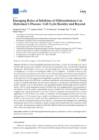 Emerging Roles of Inhibitor of Differentiation-1 in Alzheimer's Disease: Cell Cycle Reentry and Beyond