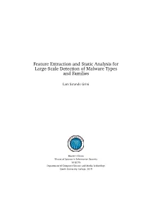 Feature Extraction and Static Analysis for Large-Scale Detection of Malware Types and Families