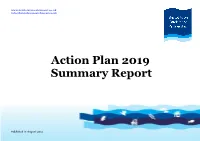 Action Plan 2019 Summary Report