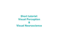Visual Perception & Visual Neuroscience