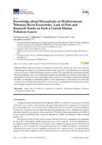 Knowledge About Microplastic in Mediterranean Tributary River Ecosystems: Lack of Data and Research Needs on Such a Crucial Marine Pollution Source