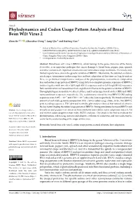Phylodynamics and Codon Usage Pattern Analysis of Broad Bean Wilt Virus 2