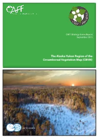 The Alaska-Yukon Region of the Circumboreal Vegetation Map (CBVM)