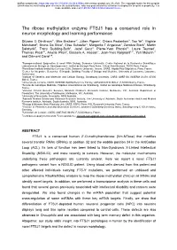 The Ribose Methylation Enzyme FTSJ1 Has a Conserved Role in Neuron Morphology and Learning Performance