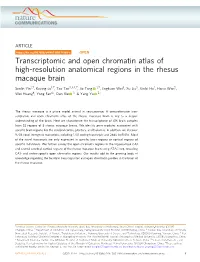 Transcriptomic and Open Chromatin Atlas of High-Resolution Anatomical Regions in the Rhesus Macaque Brain