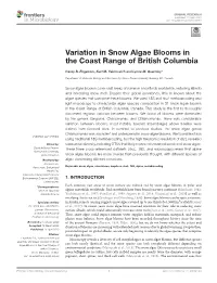 Variation in Snow Algae Blooms in the Coast Range of British Columbia