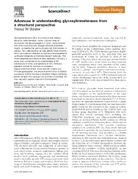 Advances in Understanding Glycosyltransferases from A