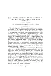The Acoustic Complex and Its Relations in the Brain of the Opossum (Didelphys Virginian A) John H