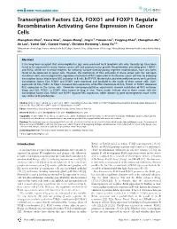 Transcription Factors E2A, FOXO1 and FOXP1 Regulate Recombination Activating Gene Expression in Cancer Cells