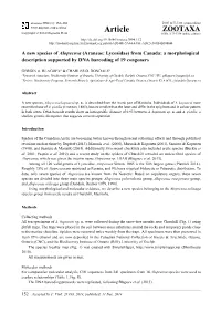 Araneae: Lycosidae) from Canada: a Morphological Description Supported by DNA Barcoding of 19 Congeners