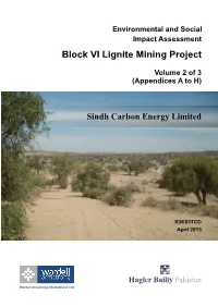 ESIA of Block VI Lignite Mining Project