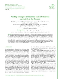 Feeding Strategies Differentiate Four Detritivorous Curimatids in the Amazon