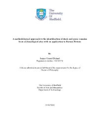 A Methodological Approach to the Identification of Duck and Goose Remains from Archaeological Sites with an Application to Roman Britain