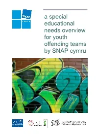 A Special Educational Needs Overview for Youth Offending Teams by SNAP Cymru