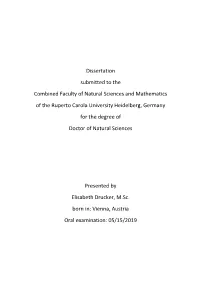 Dissertation