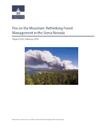 Fire on the Mountain: Rethinking Forest Management in the Sierra Nevada