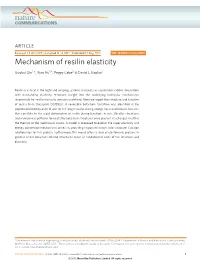 Mechanism of Resilin Elasticity