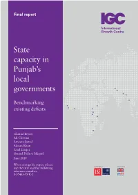 State Capacity in Punjab's Local Governments