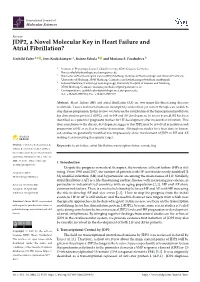 JDP2, a Novel Molecular Key in Heart Failure and Atrial Fibrillation?