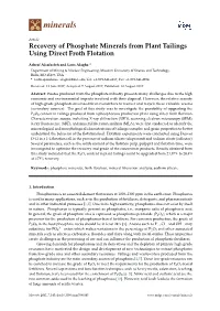 Recovery of Phosphate Minerals from Plant Tailings Using Direct Froth Flotation