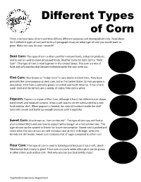 Different Types of Corn There a Various Types of Corn and They All Have Different Purposes and Distinguished Traits