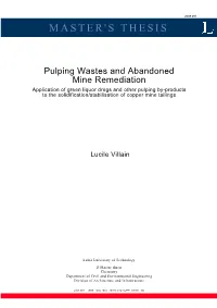 Master's Thesis
