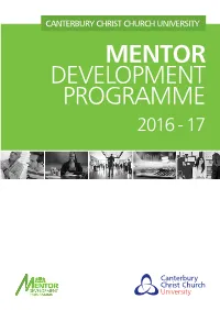 Mentor Development Programme