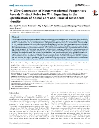 In Vitro Generation of Neuromesodermal Progenitors Reveals Distinct Roles for Wnt Signalling in the Specification of Spinal Cord and Paraxial Mesoderm Identity
