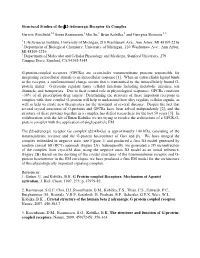 Structural Studies of the Β2-Adrenergic Receptor Gs Complex