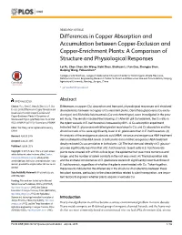 Differences in Copper Absorption and Accumulation Between Copper-Exclusion and Copper-Enrichment Plants: a Comparison of Structure and Physiological Responses