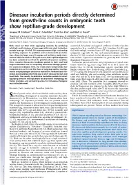 Dinosaur Incubation Periods Directly Determined from Growth-Line Counts in Embryonic Teeth Show Reptilian-Grade Development