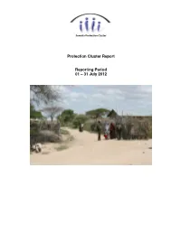 Protection Cluster Report Reporting Period 01